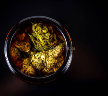 Refrigerating Your Marijuana